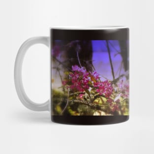 red Malus 'Radiant'  crab apple blossoms #1 Mug